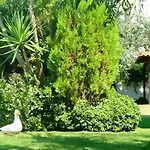 Apartament Karali Nikiti (Sithonia)