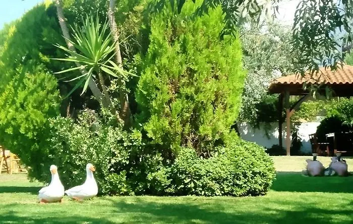 Apartamento Karali Nikiti (Sithonia)