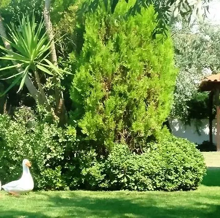 Appartement Karali Nikiti (Sithonia)